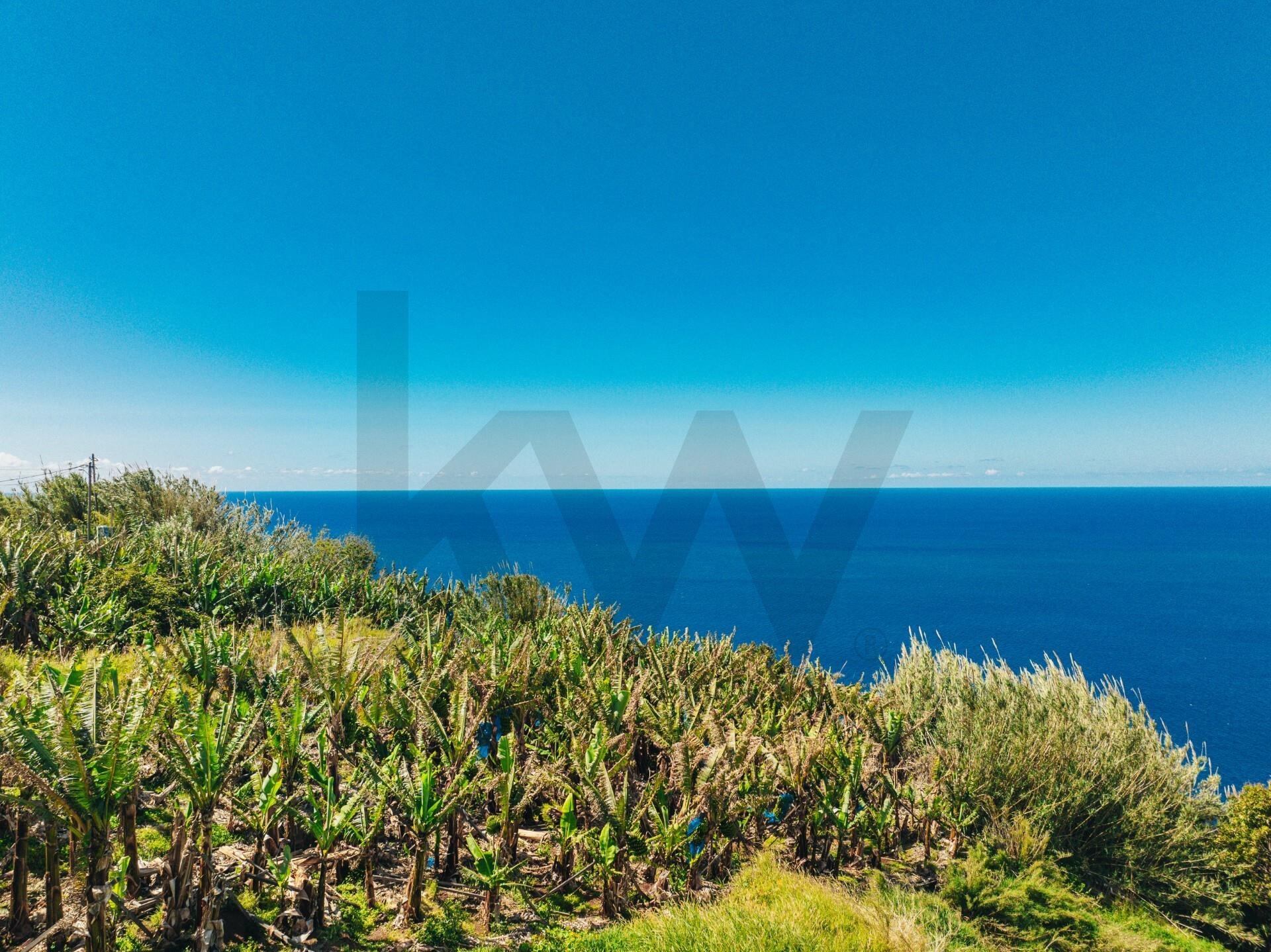 d8bc313d-4ea6-42c1-9ca2-5043421e2243