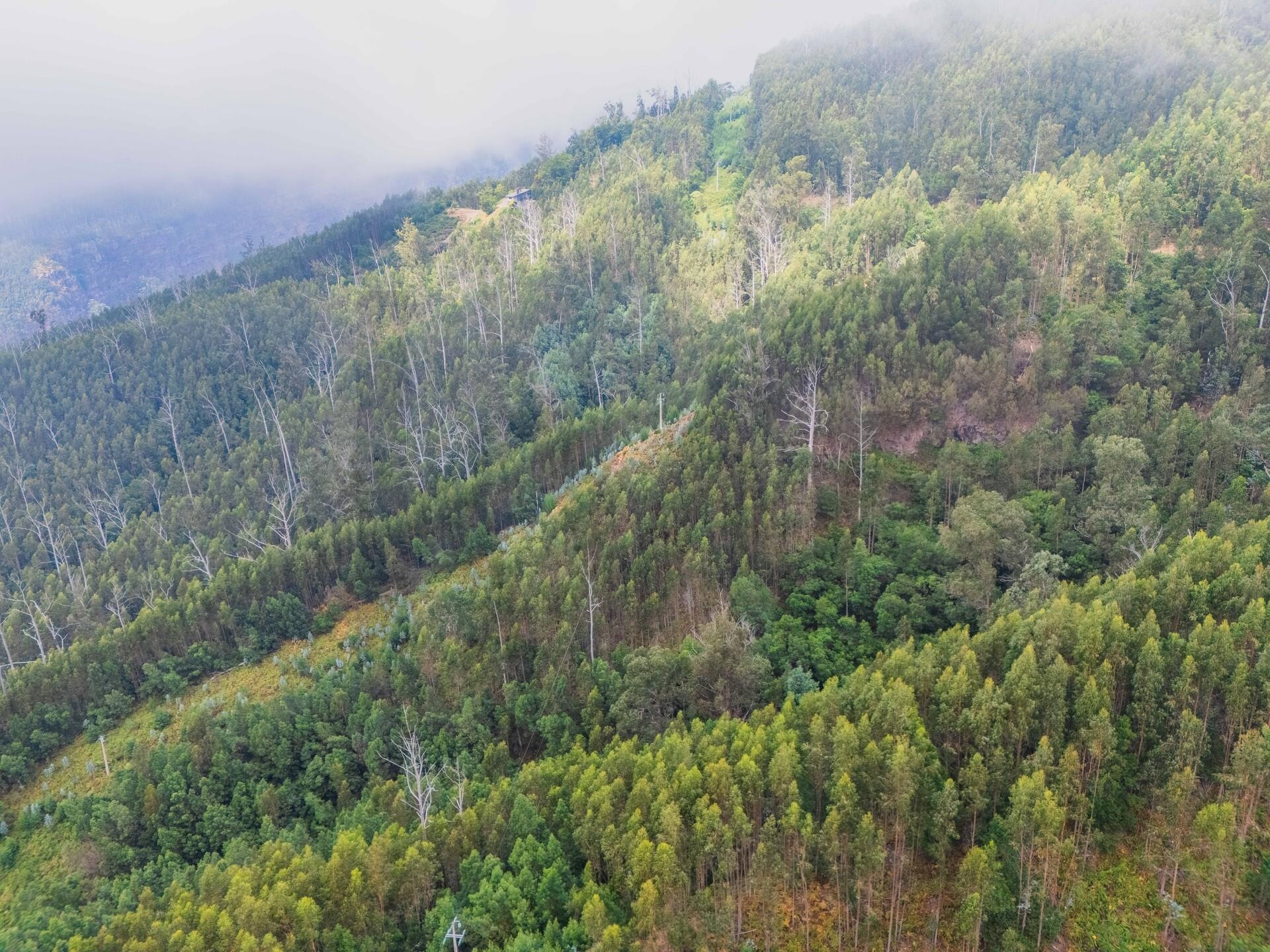 0c13634f-53d8-4b27-b645-d874225efc98