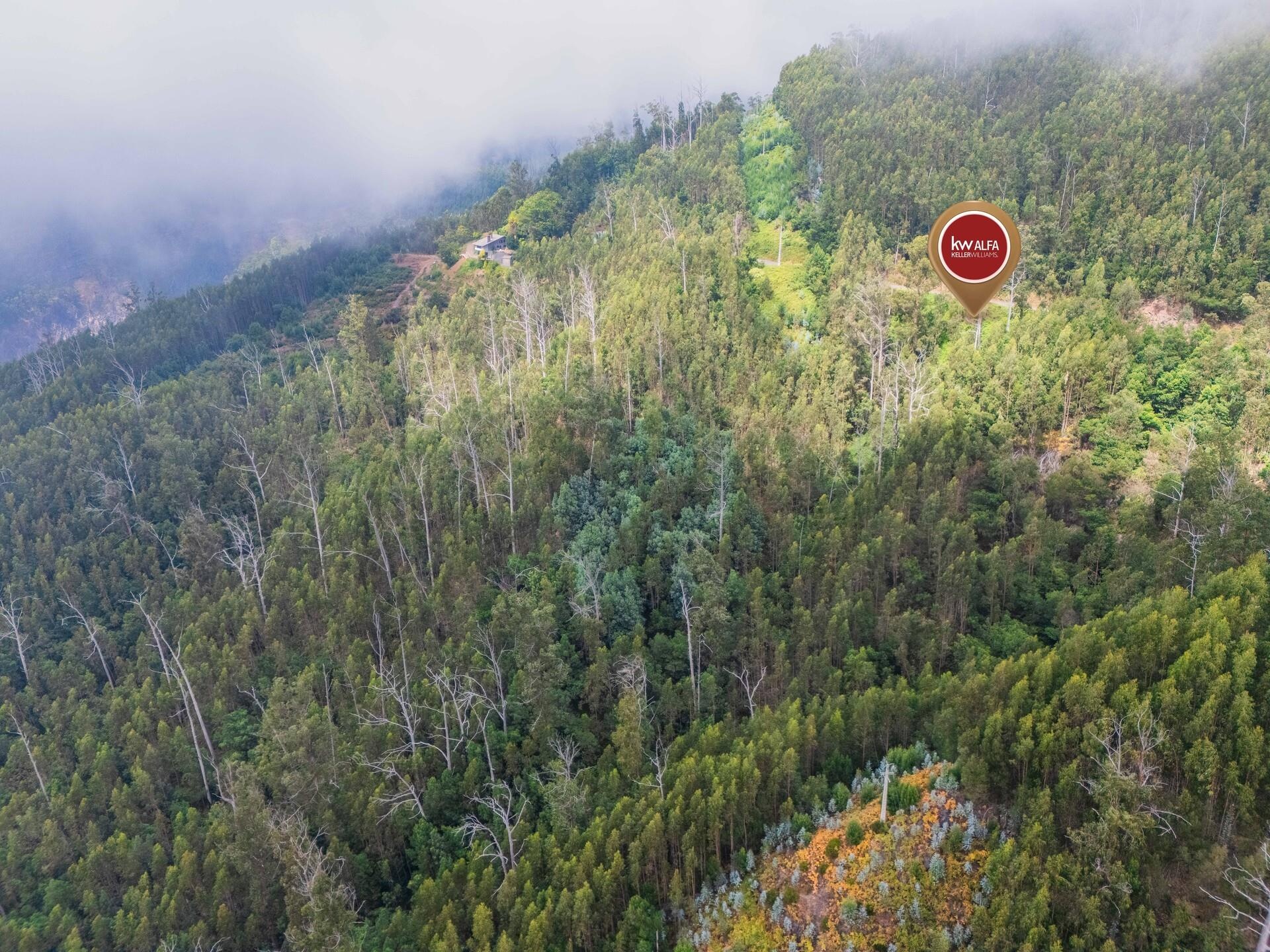 10911e76-accb-43b8-a4d3-bc5bb53efd16