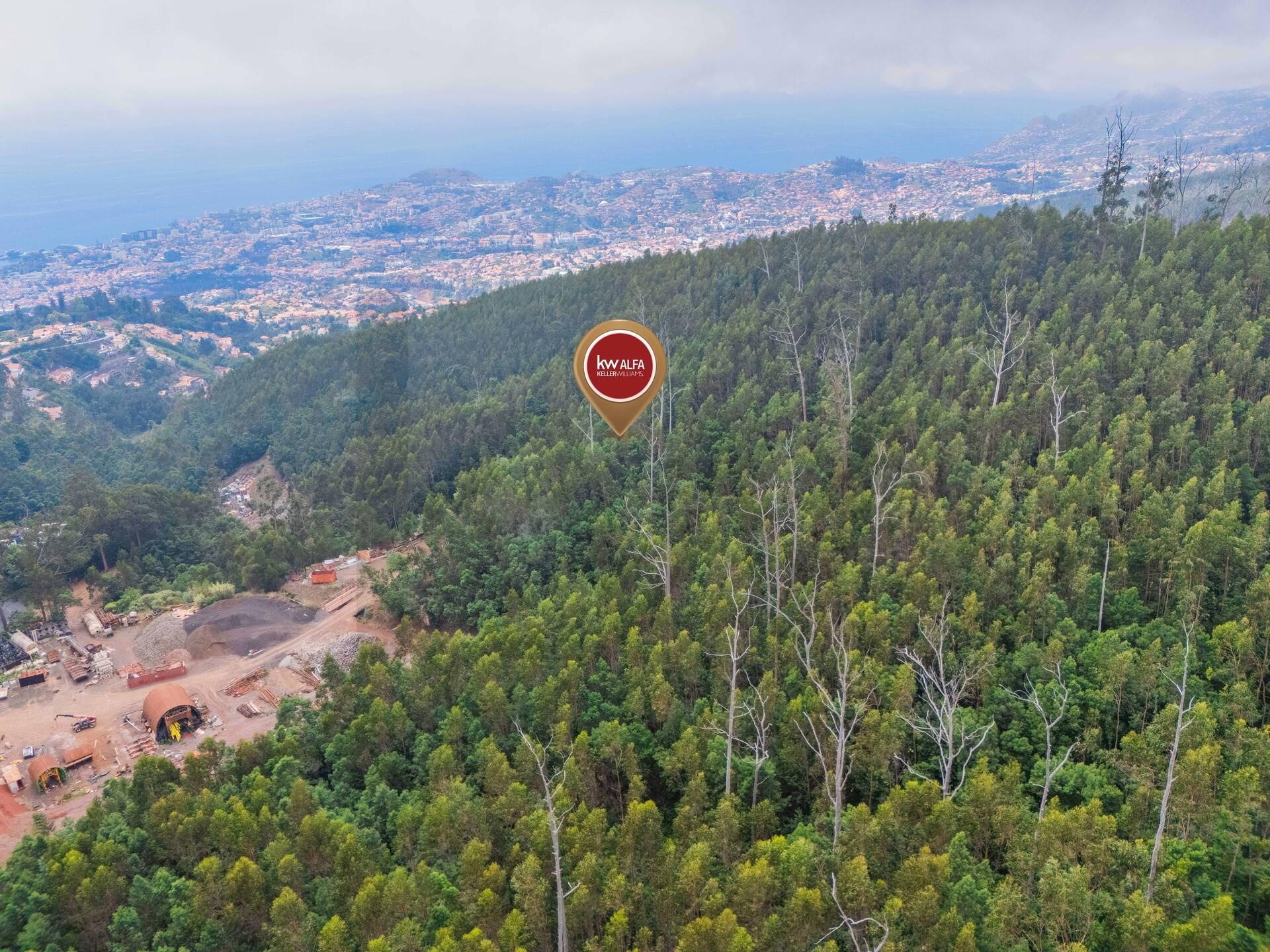 1e26b998-bb7f-4666-a544-025da8511993