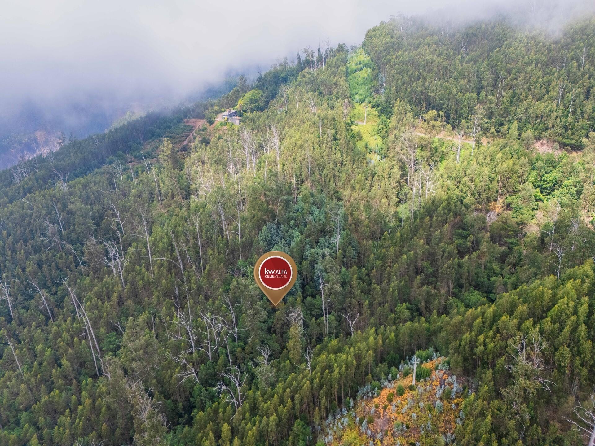 44765011-e0f8-4590-8d22-7a9ab9d4cd88