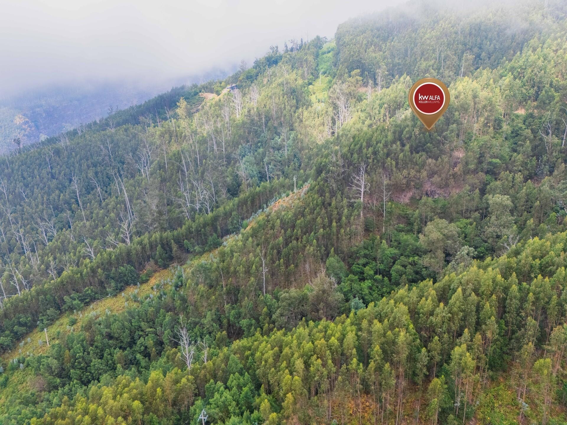 c2330430-67bc-4044-b455-97e694a73190